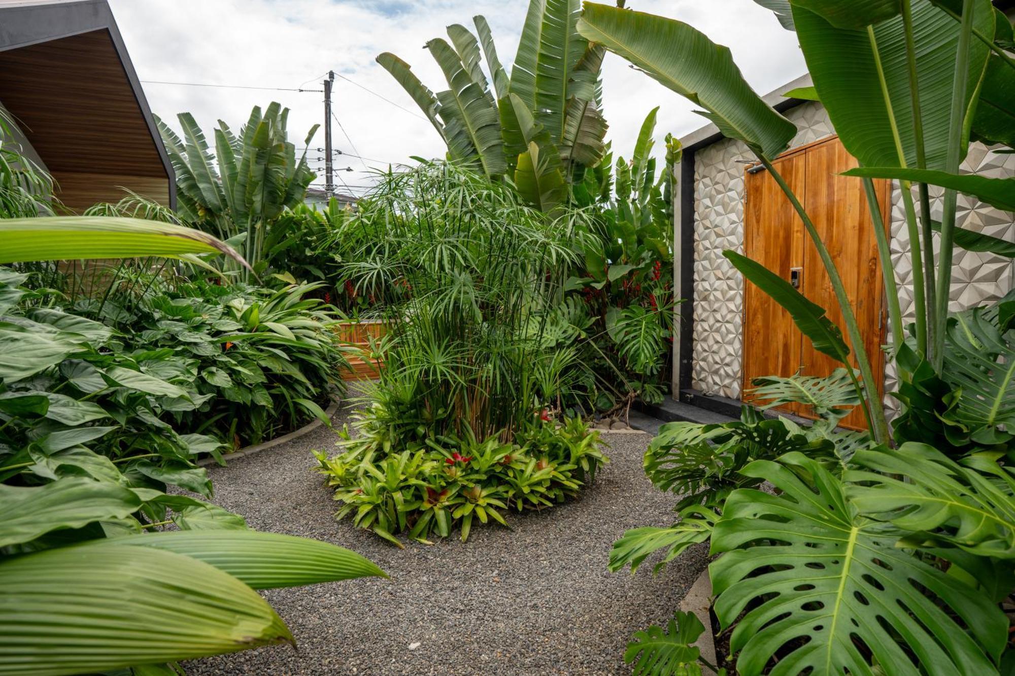 Suwa Villa Arenal La Fortuna Esterno foto